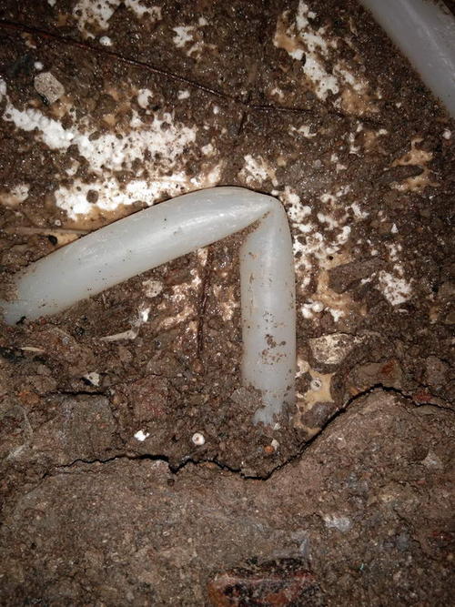 喜德堵点精准查找